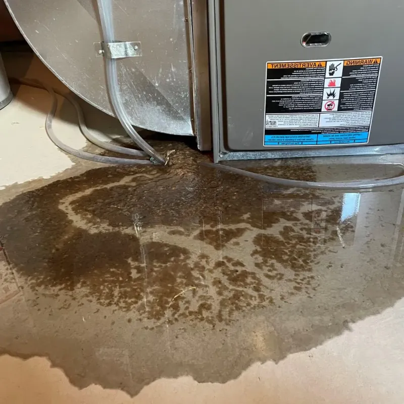 Pipe Burst and Leak Restoration in Westminster, MD